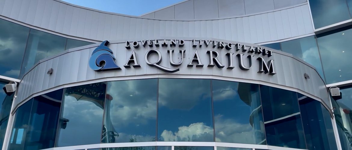 Becky’s Bits – Aquarium Episode