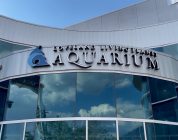 Becky’s Bits – Aquarium Episode