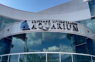 Becky’s Bits – Aquarium Episode