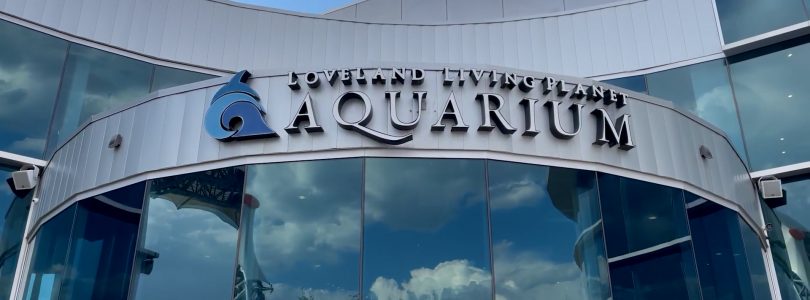 Becky’s Bits – Aquarium Episode