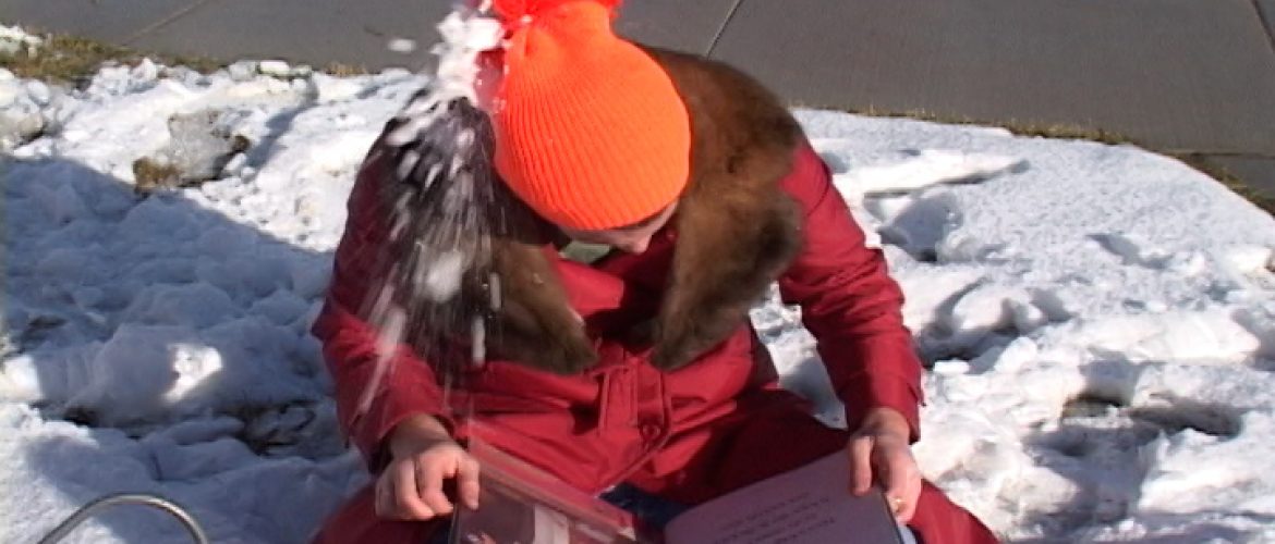 Lars – The Boy Who Never Knew Christmas