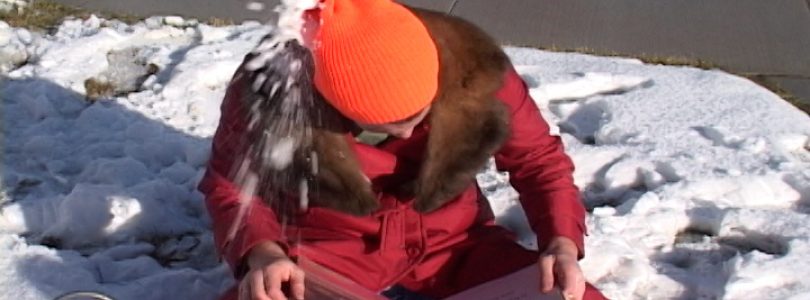 Lars – The Boy Who Never Knew Christmas